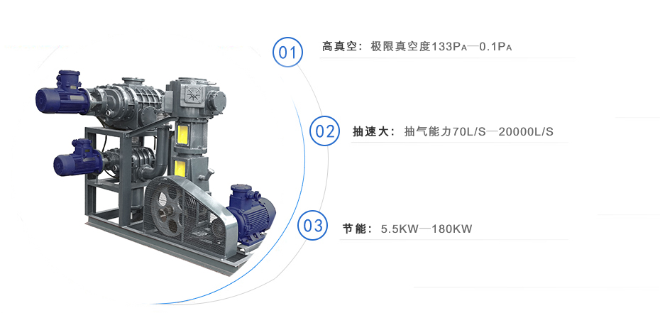 羅茨泵+無(wú)油往復(fù)真空泵機(jī)組